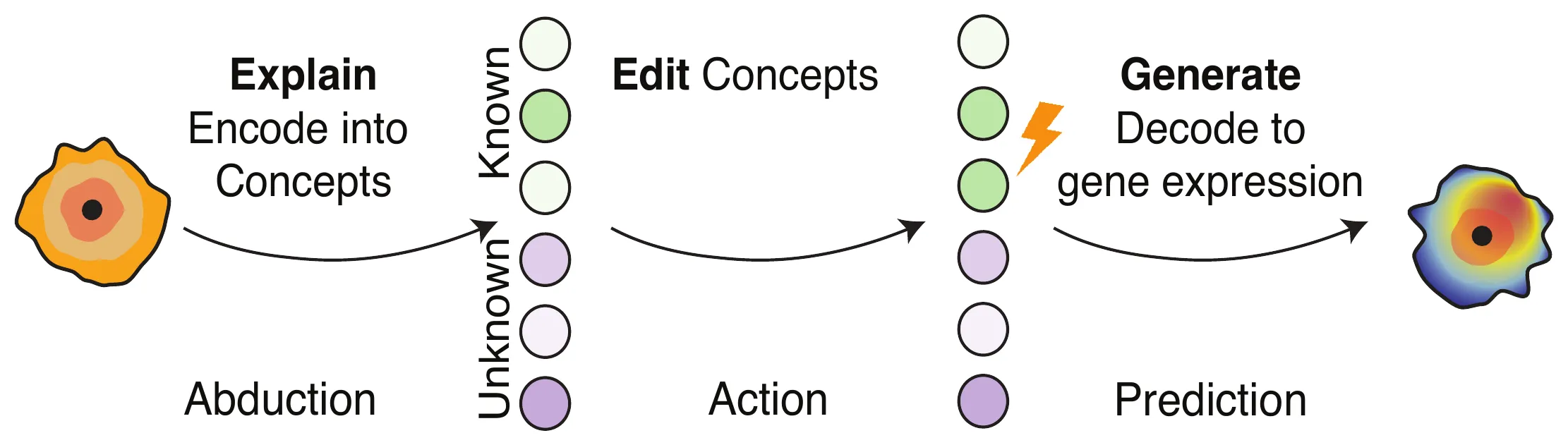 Detailed diagram of the counterfactual explain and edit process