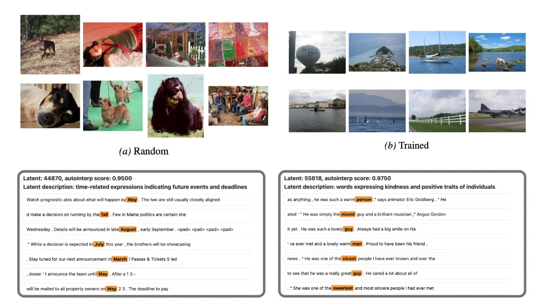 Fifteen saliency methods applied to a randomly initialized neural network