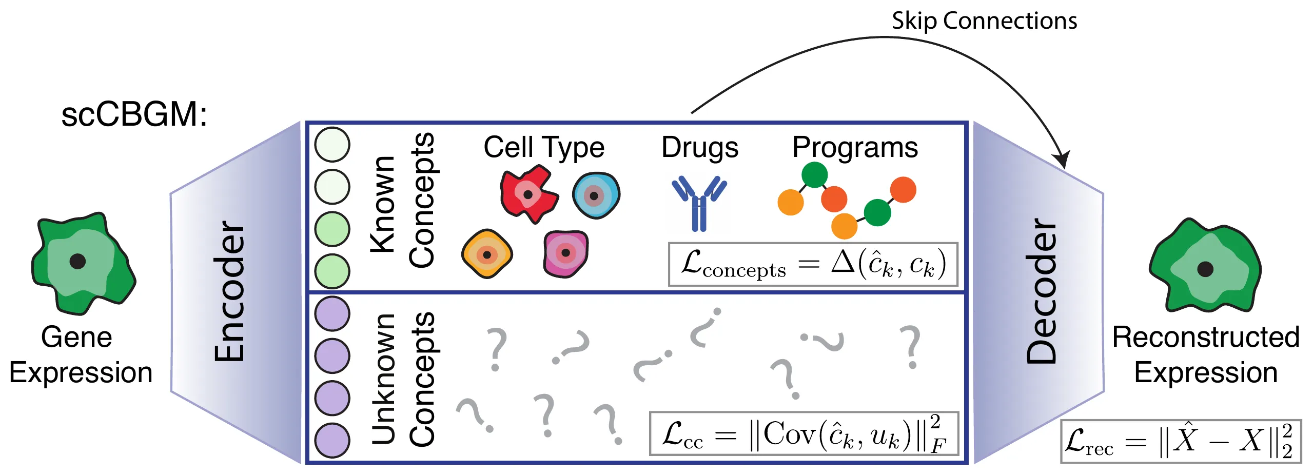 scCBGM architecture diagram
